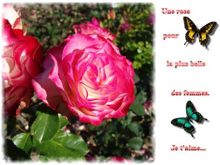 a toi mon trzor